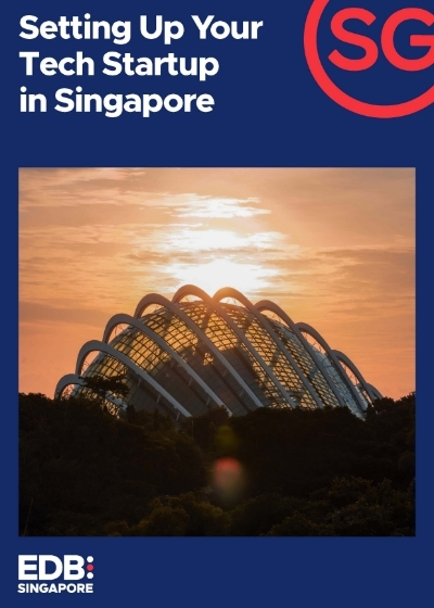 Learn how to set up your tech startup in Singapore and succeed with the right resources