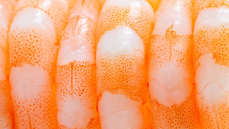 inside the science of cell cultured shrimp content image 02 770px width
