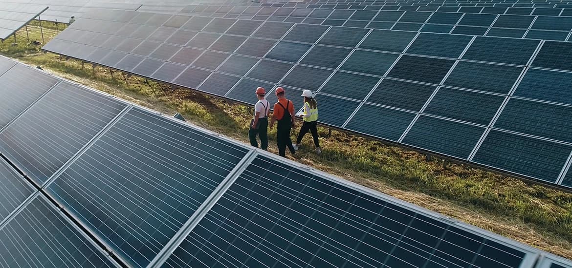 Workers walking through a large solar panel farm.