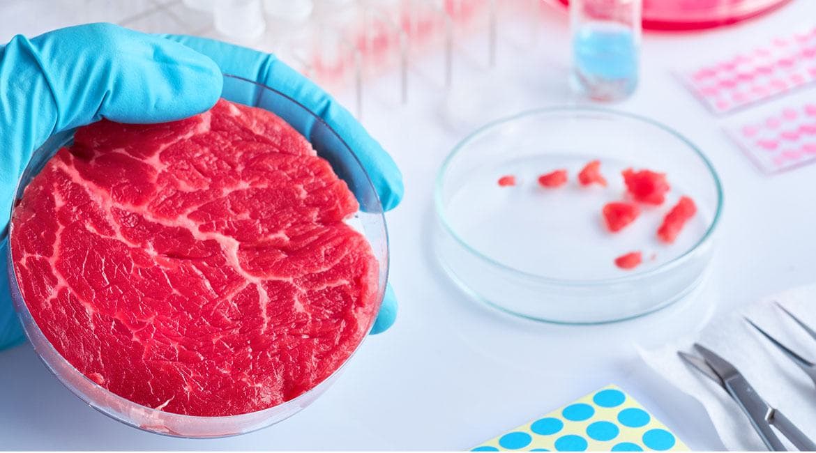 nus scientists develop plant based ink for 3d printing that can be used to grow meat in the lab masthead 1170x650