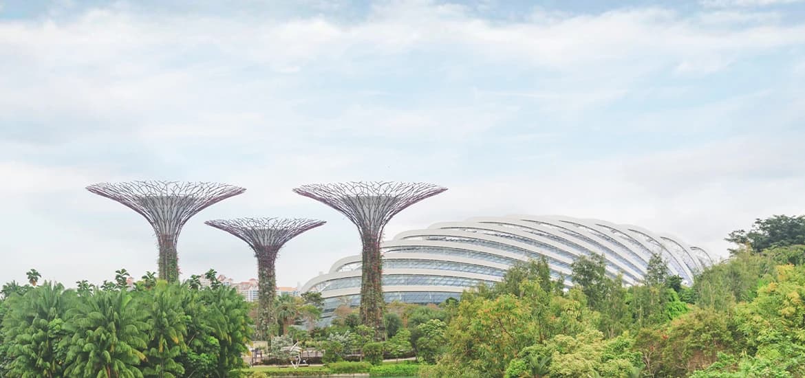 Gardens by the Bay’s Supertrees and conservatories surrounded by greenery in Singapore.