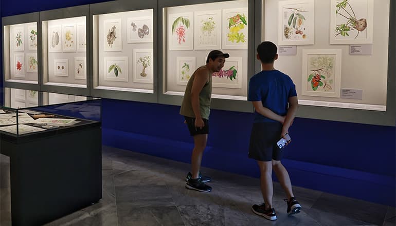 science blossoms at singapore botanic gardens botanical art exhibition 1