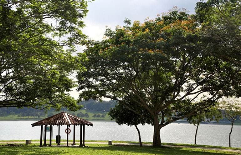 Moving to Singapore: Which Neighbourhood is for You content image 5
