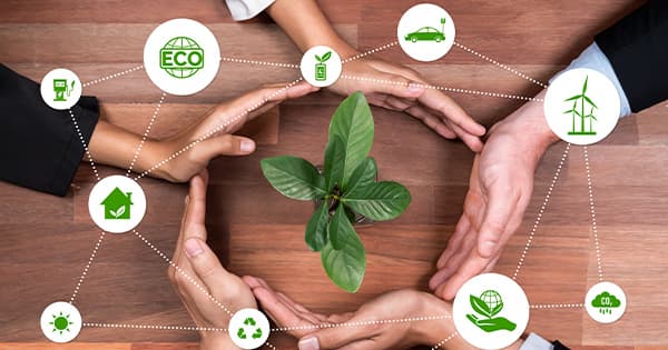 Sustainability updates from Singapore for businesses – a round-up from October to December 2024 masthead image