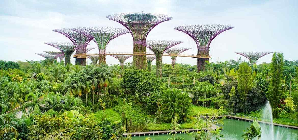 Singapore, UK ink green economy framework to bolster energy, climate collaboration masthead image