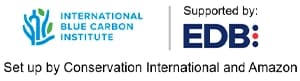 300x150 Intl blue carbon institute logo