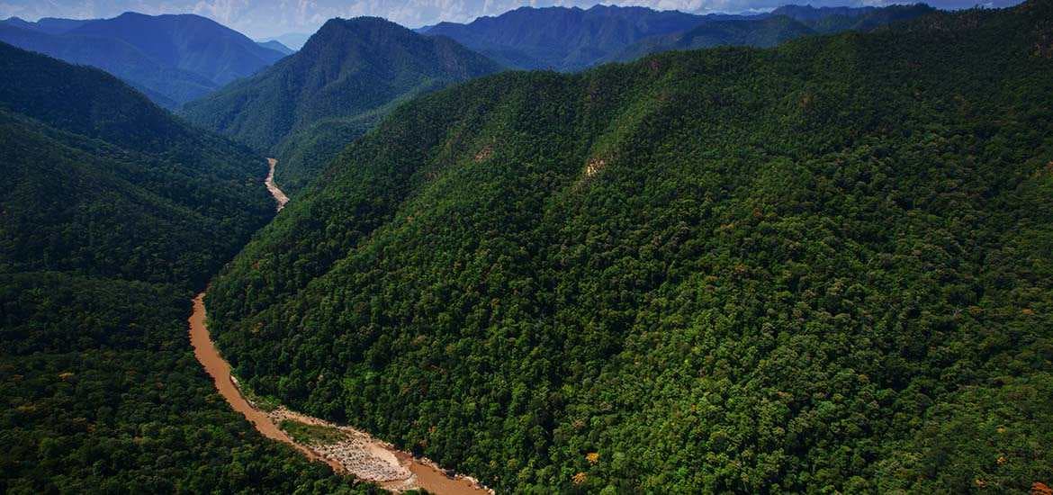 How a global carbon exchange is leveraging Singapore to build trust in carbon markets masthead image