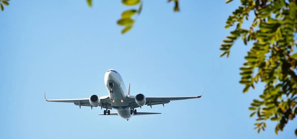 Singapore’s chance to become a global leader in sustainable aviation fuel masthead image