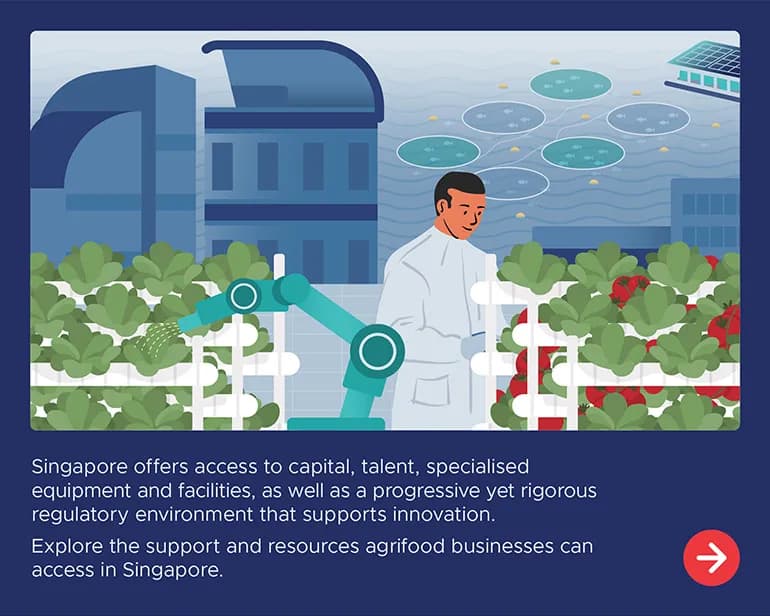 alternative proteins aquaculture and urban agriculture a look at singapores vibrant agrifood scene carouselslide 2 1