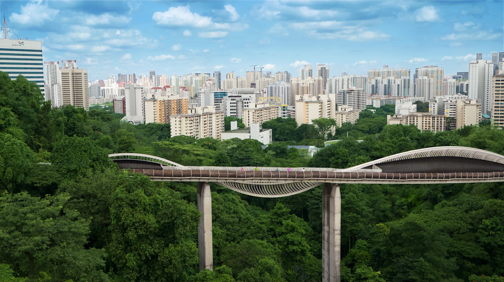 Henderson Waves bridge over a green forest canopy