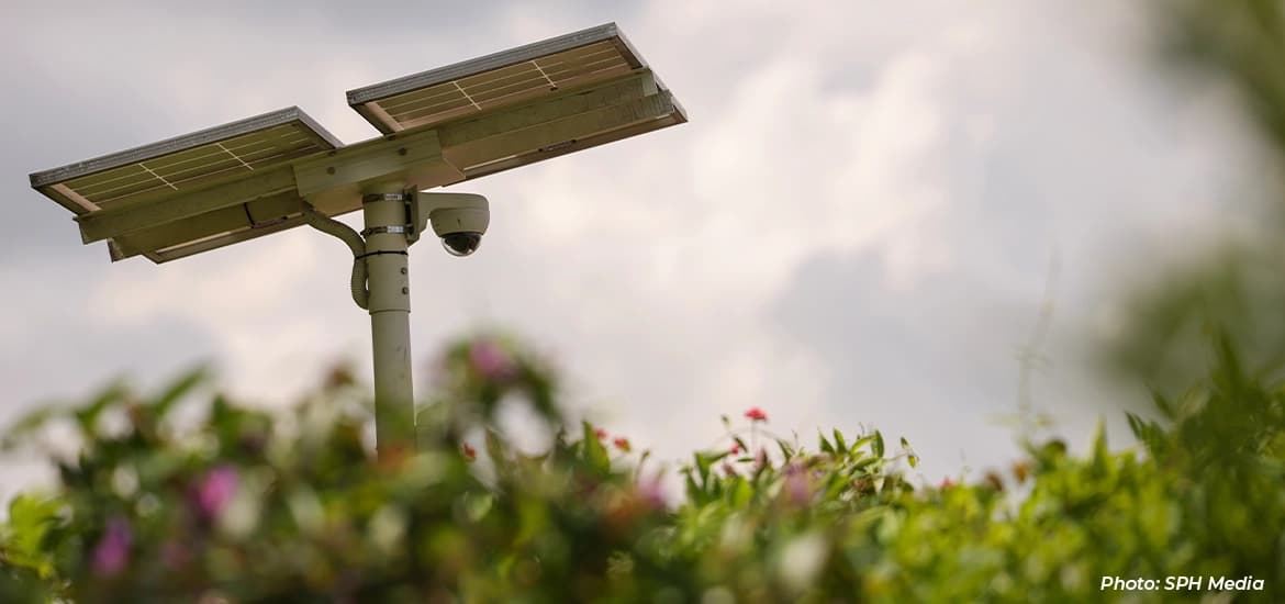 Solar-powered CCTV camera mounted on a pole above greenery, with cloudy sky in the background.