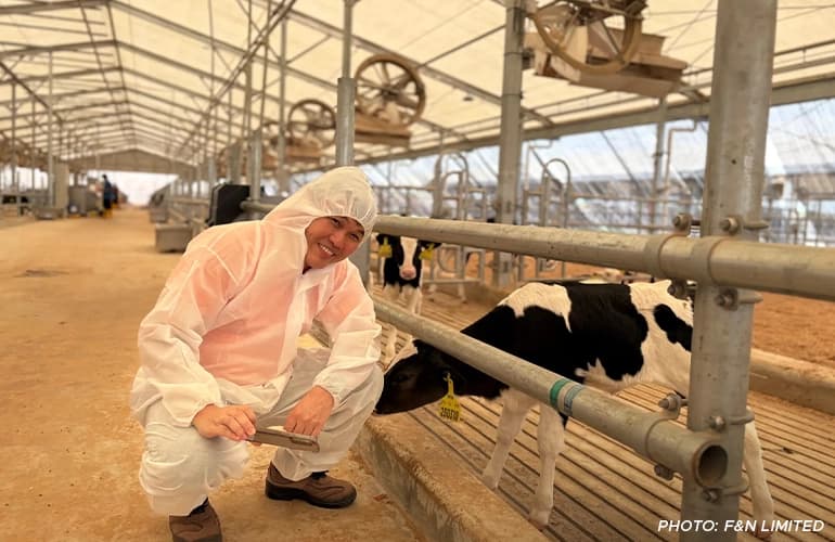 Researcher in protective white suit squatting beside a calf inside a modern livestock facility.