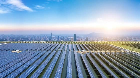 Solar panel farm at sunrise with a city skyline in the background