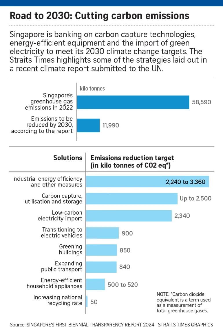 singapore sets out plan to meet 2030 climate targets energy imports carbon capture among key efforts content 770x1160