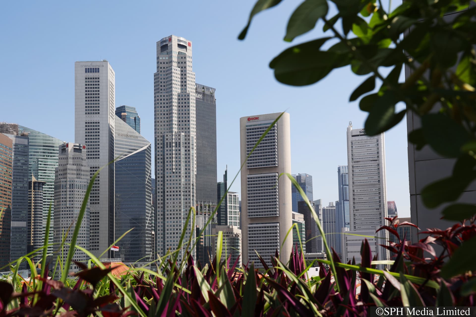 CMG20240514-HengYY01 / 王彦燕 / 高庭 Supreme Court [ 1 Supreme Ct Ln, Singapore 178879 ]