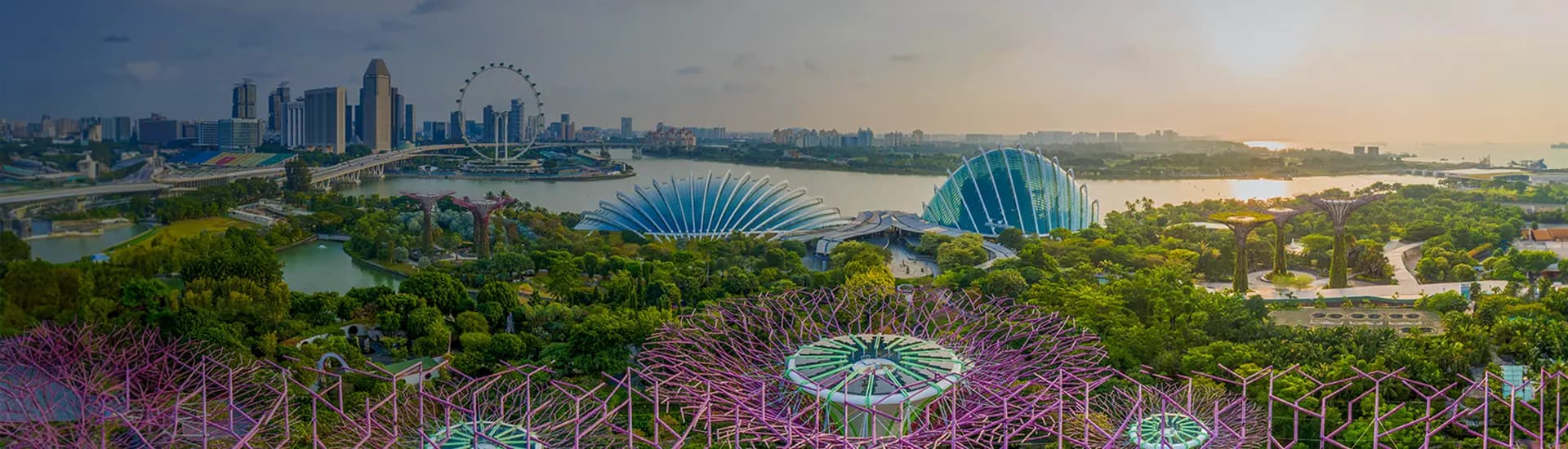 Singapore carbon market alliance hero banner.