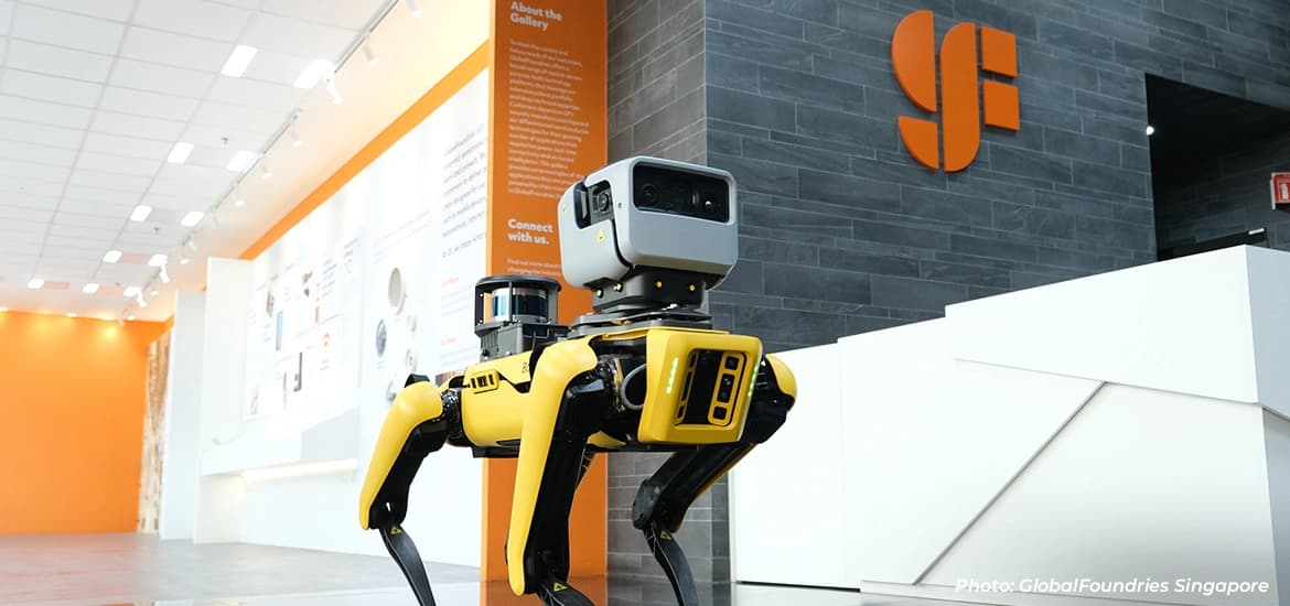 Yellow robotic dog displayed inside a technology gallery.