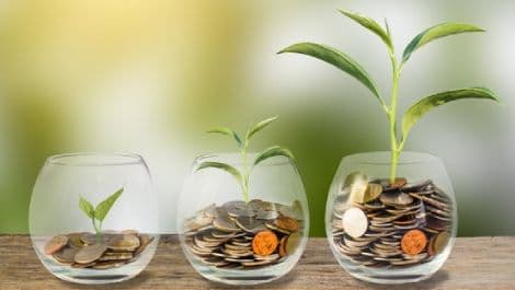 Illustration representing investment and growth.