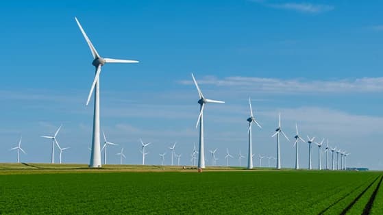 Rows of wind turbines standing in a green field under blue sky