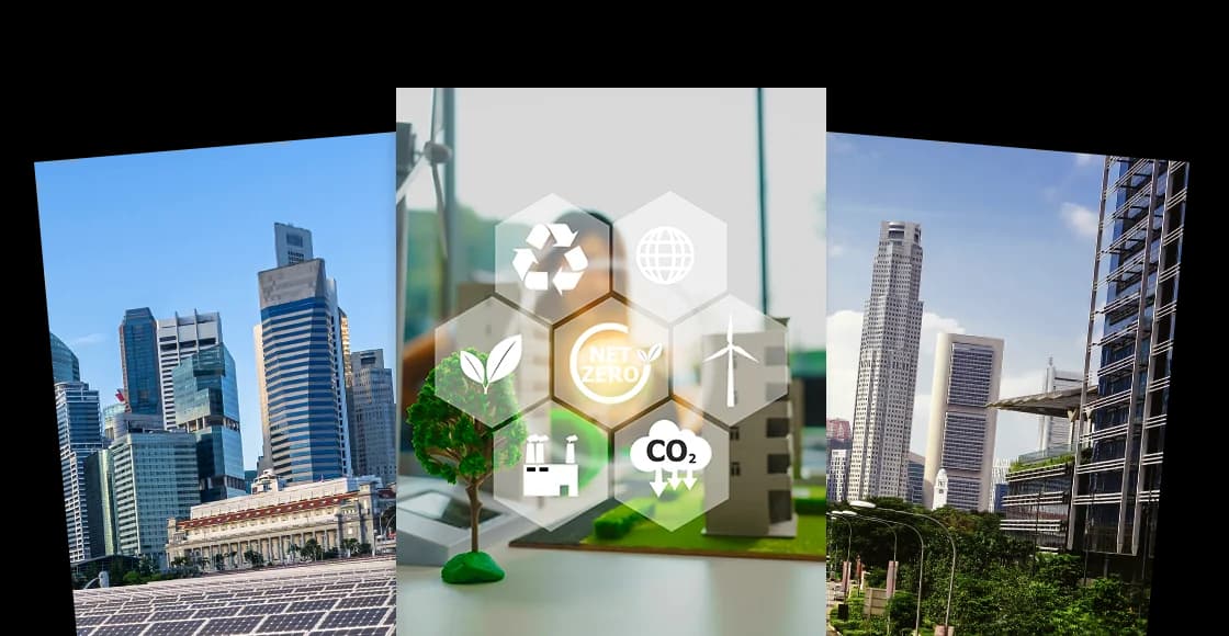 A picture of 3 brochures advertising EDB