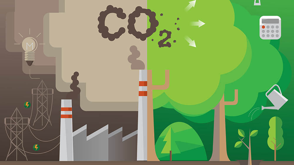 Singapore is well-positioned to become a Carbon Services and Trading Hub for Southeast Asia and the Asia Pacific