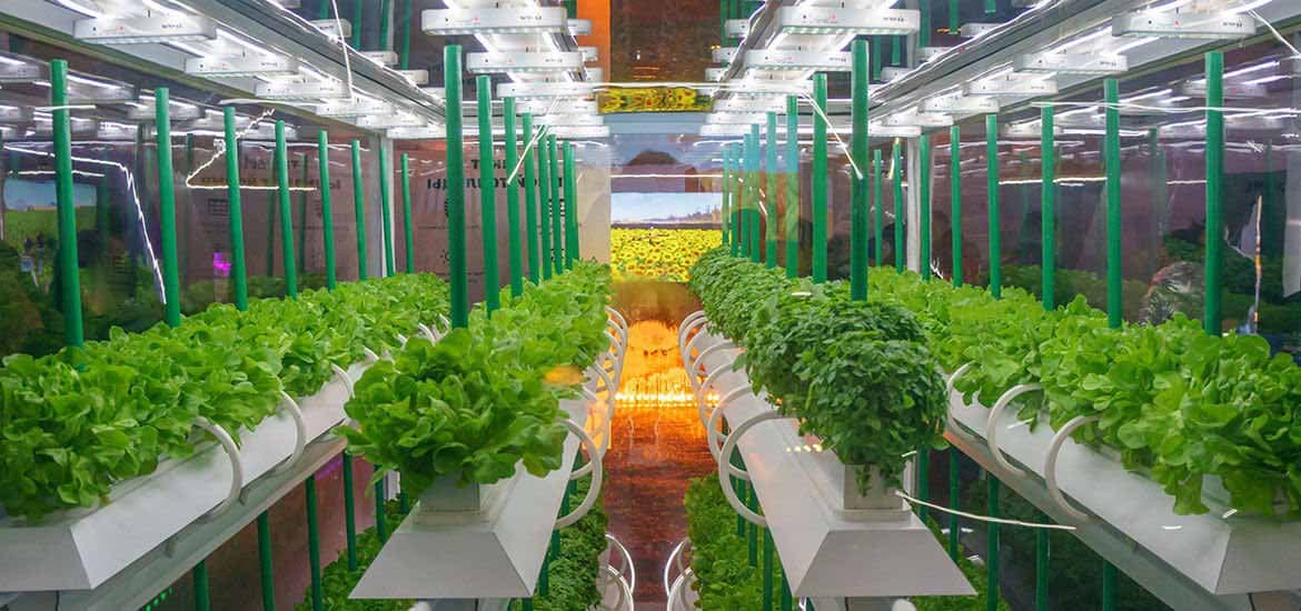 Agritech startup taps grant to develop robotic system for vertical farming operations masthead image