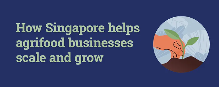 How Singapore helps agrifood businesses scale and grow