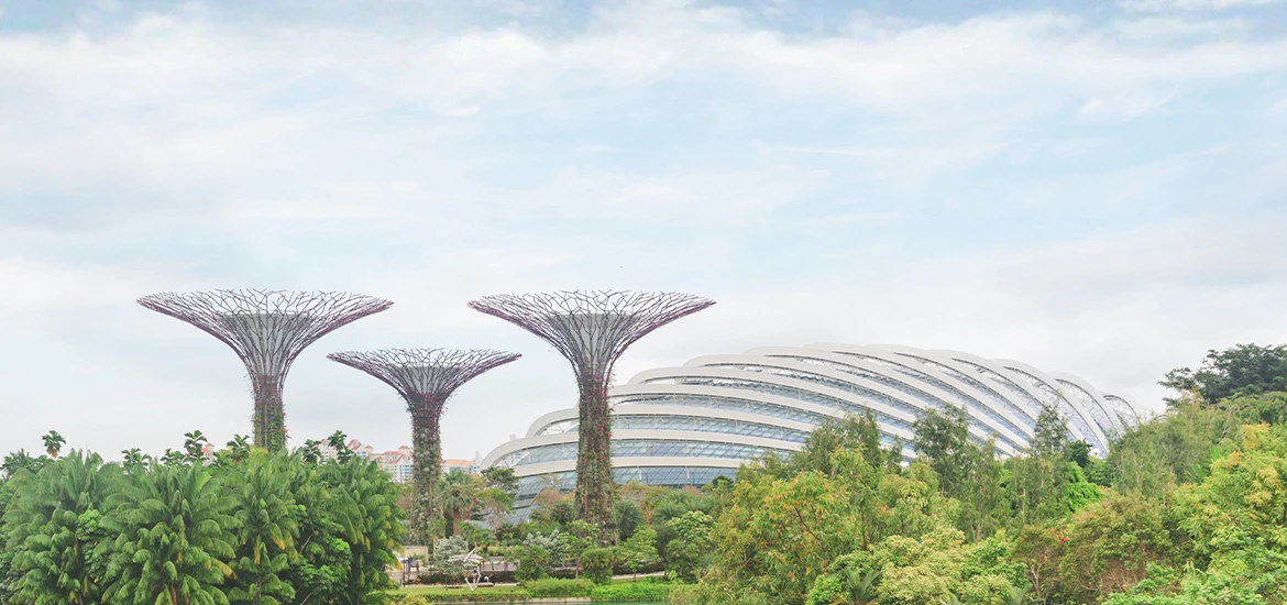 Gardens by the Bay’s Supertrees and conservatories surrounded by greenery in Singapore.