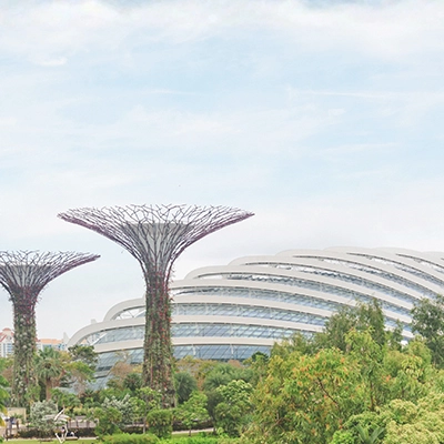 Gardens by the Bay’s Supertrees and conservatories surrounded by greenery in Singapore.