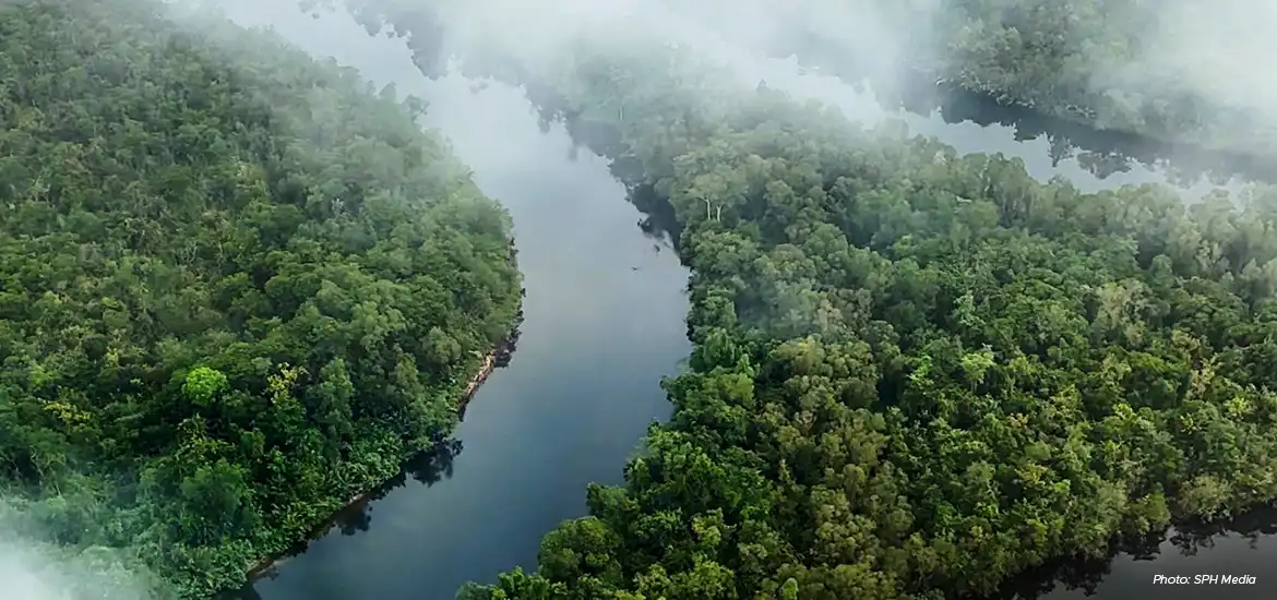 Established carbon project developers that have had success in developing high-quality carbon projects are eligible to apply for the grant, says the Economic Development Board.
