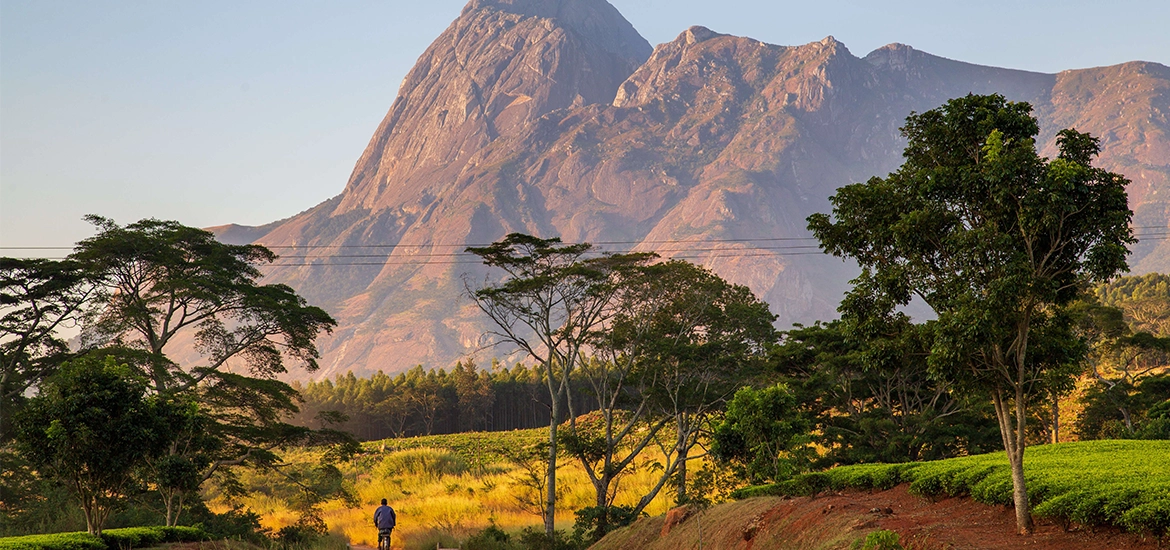 Lone person walking along a path through lush greenery and trees, with a dramatic rocky mountain rising in the background under warm morning light, showcasing a serene natural landscape.