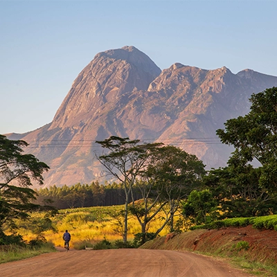 Lone person walking along a path through lush greenery and trees, with a dramatic rocky mountain rising in the background under warm morning light, showcasing a serene natural landscape.