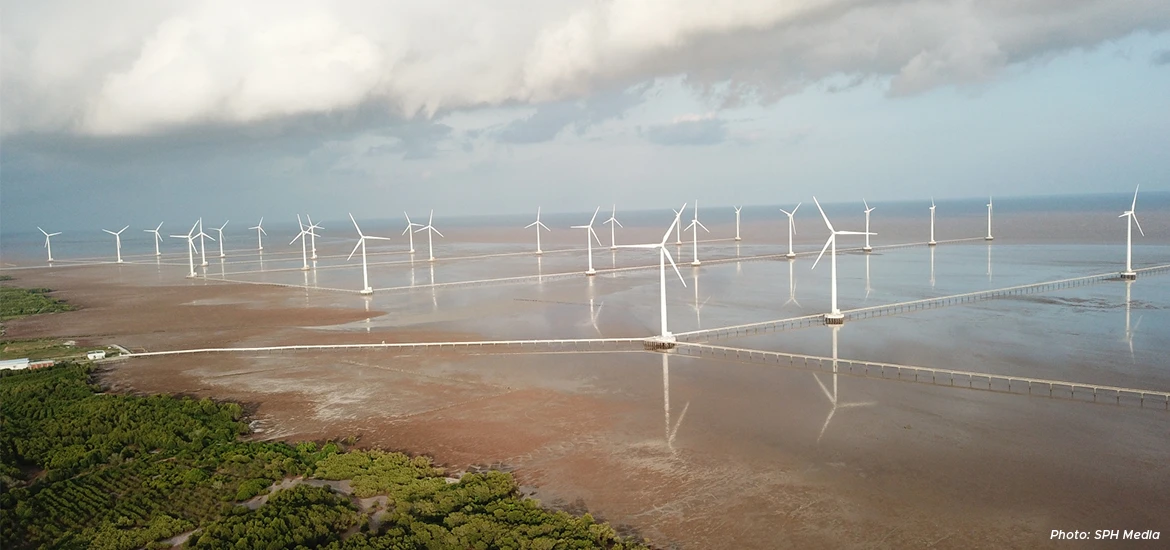 Aerial view of offshore wind turbines and coastal greenery.