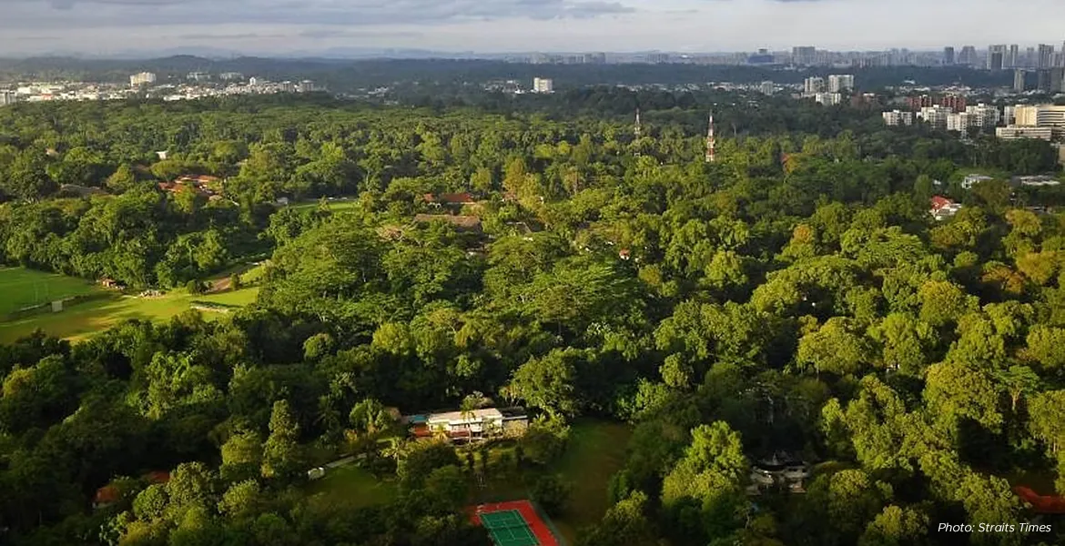 Environmental coalition launches tool to spur more carbon credit projects in S-E Asia masthead image