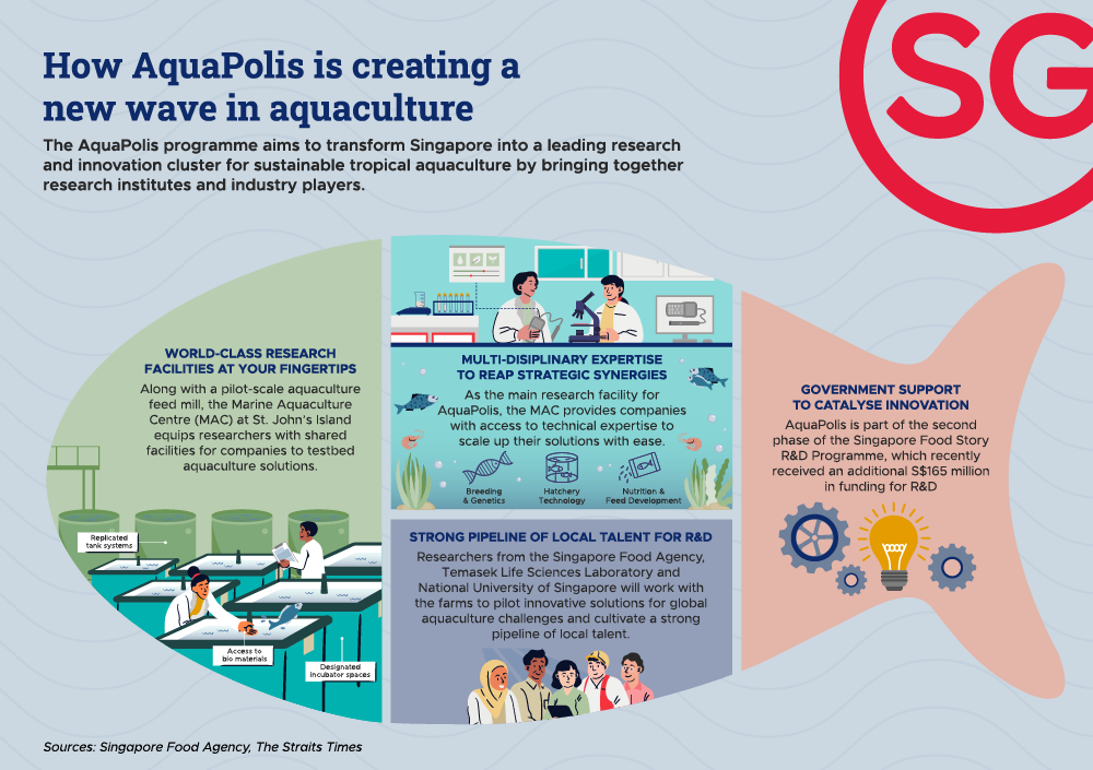 How Aquapolis is creating a new wave in aquaculture