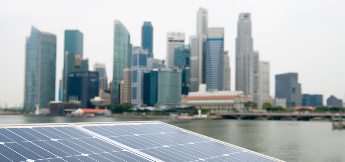 How Singapore businesses are tapping into new green opportunities