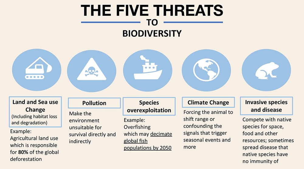The Five Threats to Biodiversity infographics