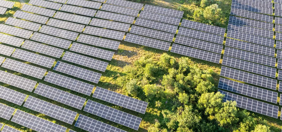 Huge renewables opportunities remain in ASEAN: Maybank IBG report