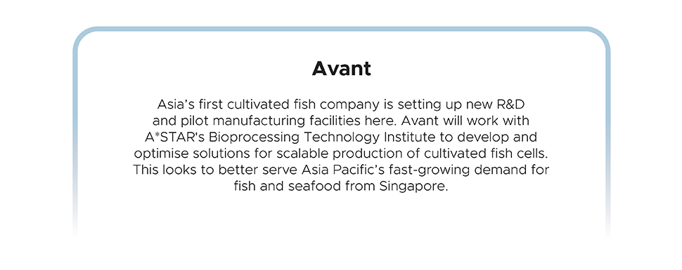 Avant