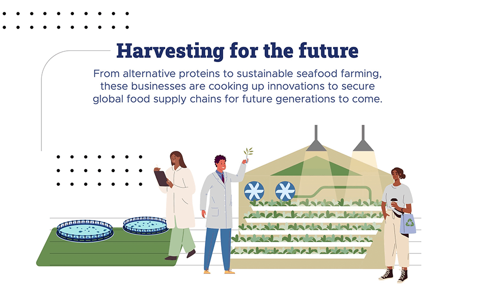 Feeding the World