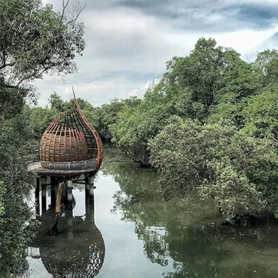 It’s a Jungle Out There: 5 Ways to Connect with Nature in Bustling Singapore listing image