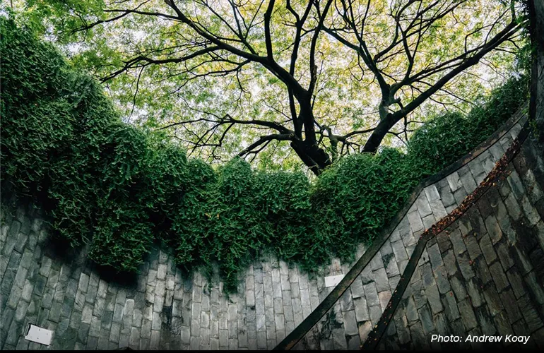 It’s a Jungle Out There: 5 Ways to Connect with Nature in Bustling Singapore content image 1