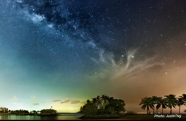 It’s a Jungle Out There: 5 Ways to Connect with Nature in Bustling Singapore content image 2