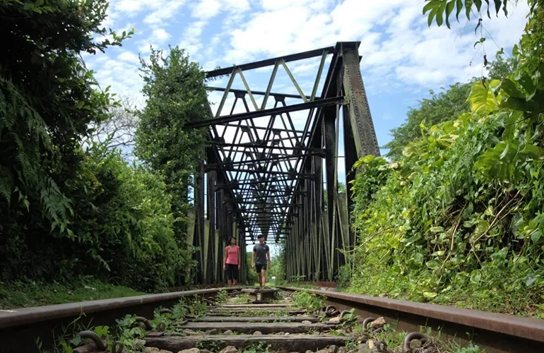It’s a Jungle Out There: 5 Ways to Connect with Nature in Bustling Singapore content image 4