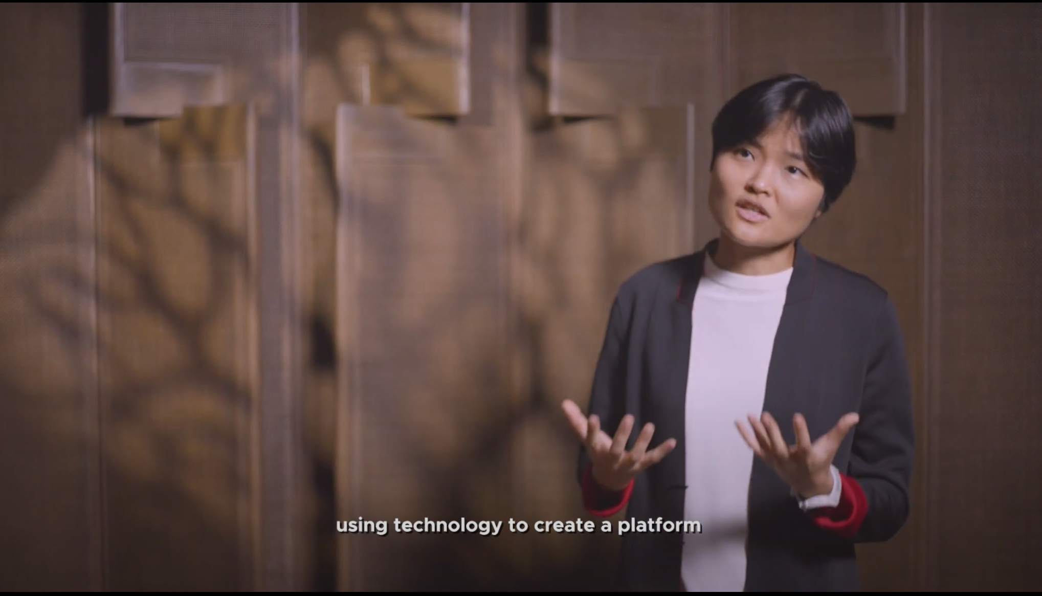 Grab Video Image