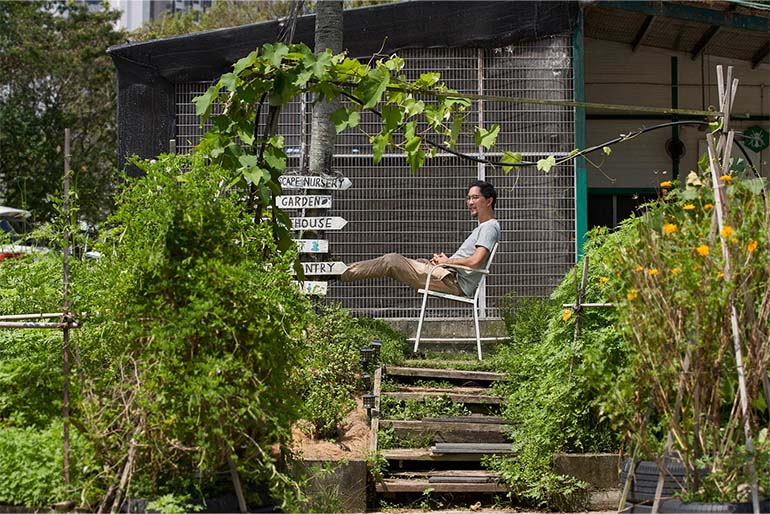Mr Low's Edible Garden City, located in Queenstown, grows local produce which he supplies to restaurants here, and also hosts educational tours. Image courtesy of SPH Media.