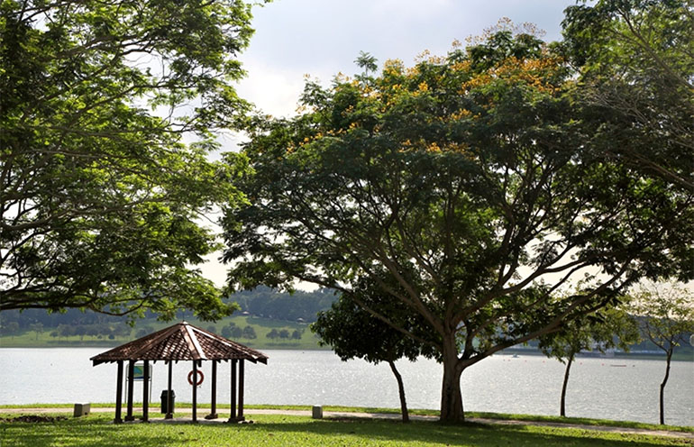 Moving to Singapore: Which Neighbourhood is for You content image 5
