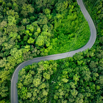Aerial view of a winding road cutting through dense green forest, with varied tree canopy and power lines running alongside the route.