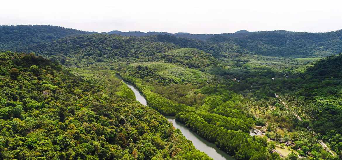 New mapping tool helps to spot sources of high-quality, nature-based carbon credits masthead