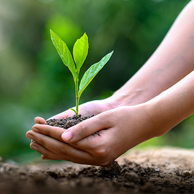 Seeding Asia's greener future from Singapore listing